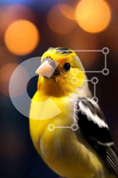 Σετ των 2 Intra Συλλεκτικό Ξύλινο Παζλ Plywood  4mm - Κίτρινο πουλί με ρίγες στην πέρκα Σε Ξύλινο Κουτί - Διαστάσεις: 10x10 cm – 25 κομμάτια