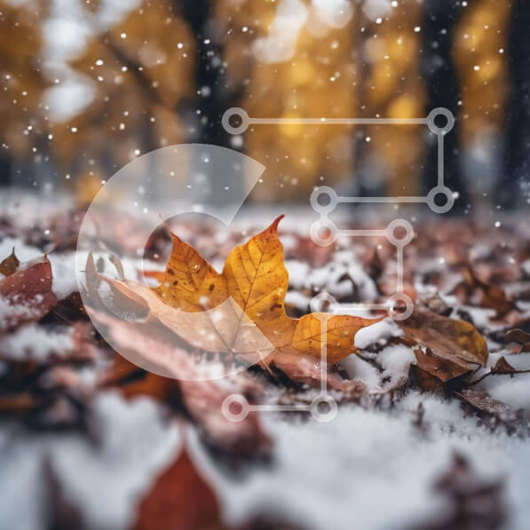 Intra Συλλεκτικό Ξύλινο Παζλ Plywood  4mm - Κίτρινο φύλλο σφενδάμου σε χιονισμένο έδαφος με δέντρα στο φόντο Σε Ξύλινο Κουτί - Διαστάσεις: 10x10 cm – 25 κομμάτια