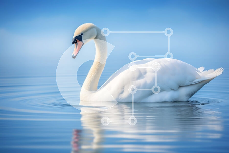 Intra Συλλεκτικό Ξύλινο Παζλ Plywood  4mm - Όμορφη εικόνα ενός λευκού κύκνου που κολυμπά σε ένα γαλήνιο σώμα νερού Σε Ξύλινο Κουτί - Διαστάσεις: 10x10 cm – 25 κομμάτια