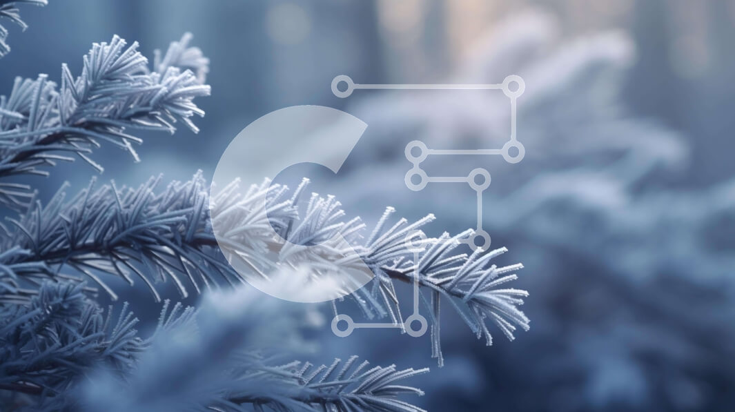 Intra Συλλεκτικό Ξύλινο Παζλ Plywood  4mm - Πεύκα καλυμμένα με παγετό το χειμώνα Σε Ξύλινο Κουτί - Διαστάσεις: 10x10 cm – 25 κομμάτια