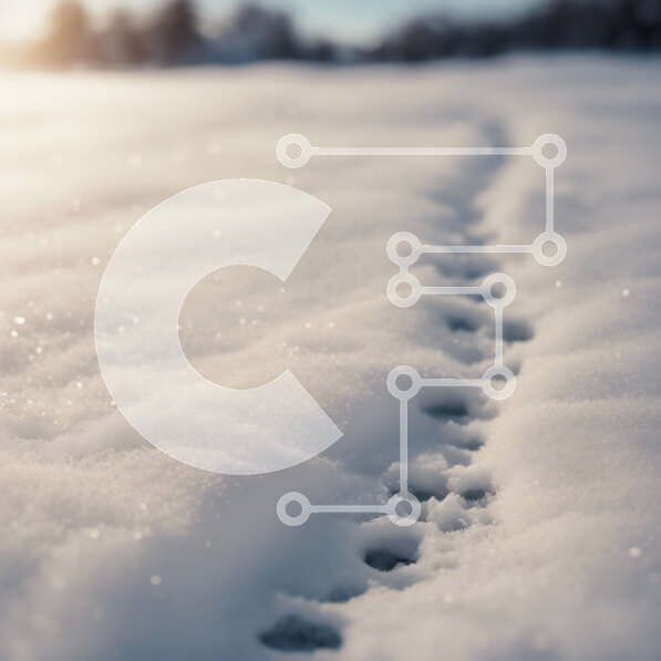 Intra Συλλεκτικό Ξύλινο Παζλ Plywood  4mm - Χιονισμένο τοπίο με ίχνη Σε Ξύλινο Κουτί - Διαστάσεις: 10x10 cm – 25 κομμάτια