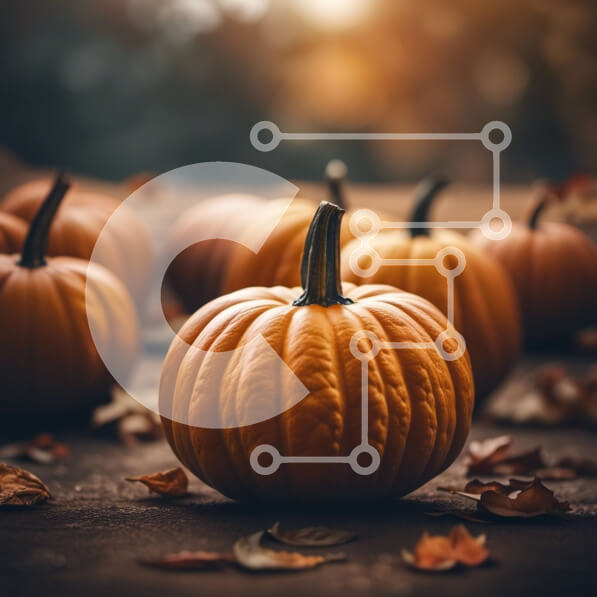 Intra Συλλεκτικό Ξύλινο Παζλ Plywood  4mm - Σειρά από πορτοκαλί κολοκύθες σε ξύλινη επιφάνεια Σε Ξύλινο Κουτί - Διαστάσεις Puzzle: 10x10 cm – 25 κομμάτια