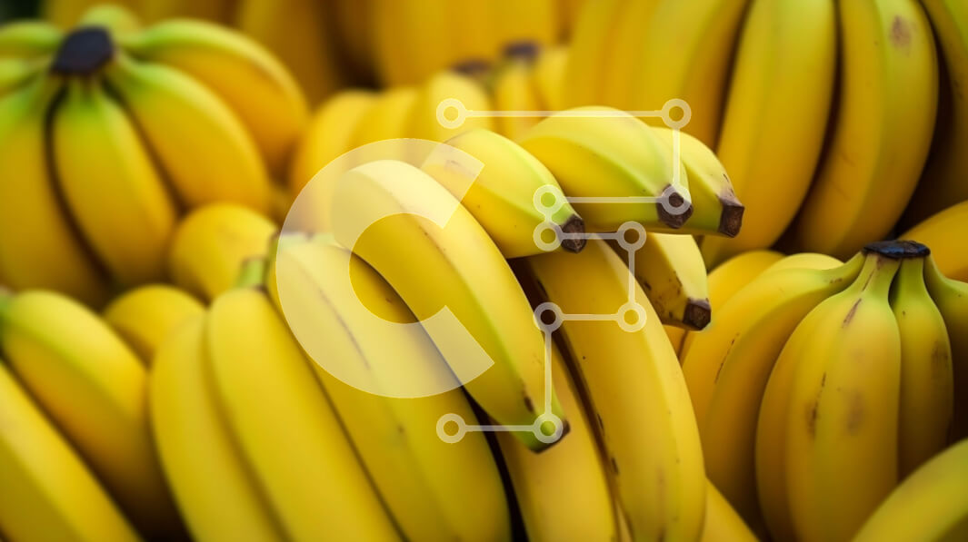 Σετ των 2 Intra Συλλεκτικό Ξύλινο Παζλ Plywood  4mm - Μάτσο μπανάνες στοιβαγμένες μαζί Σε Ξύλινο Κουτί - Διαστάσεις: 10x10 cm – 25 κομμάτια