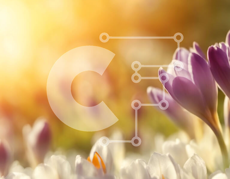 Intra Συλλεκτικό Ξύλινο Παζλ Plywood  4mm - Πεδίο με μωβ κρόκους σε πλήρη άνθιση Σε Ξύλινο Κουτί - Διαστάσεις: 10x10 cm – 25 κομμάτια