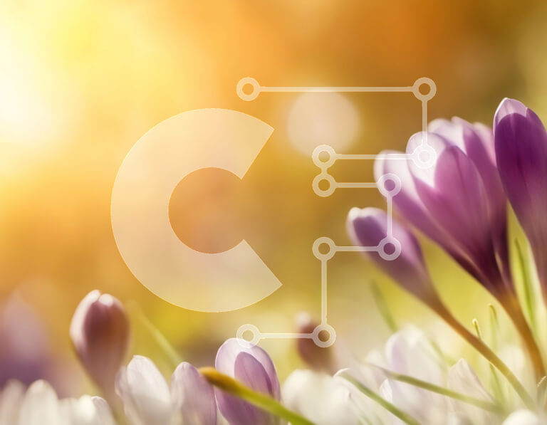 Intra Συλλεκτικό Ξύλινο Παζλ Plywood  4mm - Κοντινό πλάνο μωβ κρόκων σε ένα χωράφι Σε Ξύλινο Κουτί - Διαστάσεις: 10x10 cm – 25 κομμάτια