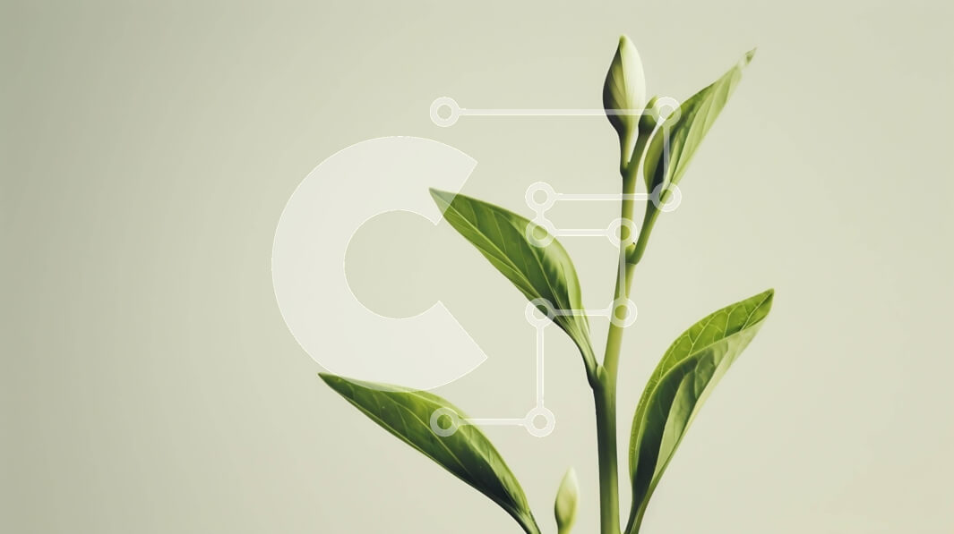 Intra Συλλεκτικό Ξύλινο Παζλ Plywood  4mm - Μονόφυτο σε βάζο με πράσινα φύλλα Σε Ξύλινο Κουτί - Διαστάσεις: 10x10 cm – 25 κομμάτια