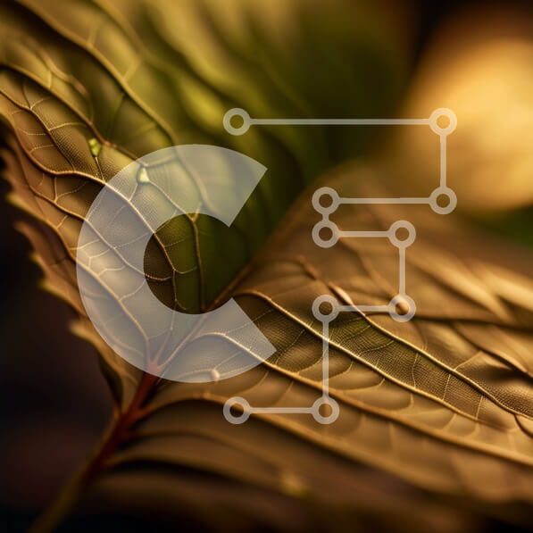 Intra Συλλεκτικό Ξύλινο Παζλ Plywood  4mm - Όμορφη κοντινή εικόνα του φύλλου με σταγονίδια νερού Σε Ξύλινο Κουτί - Διαστάσεις: 10x10 cm – 25 κομμάτια