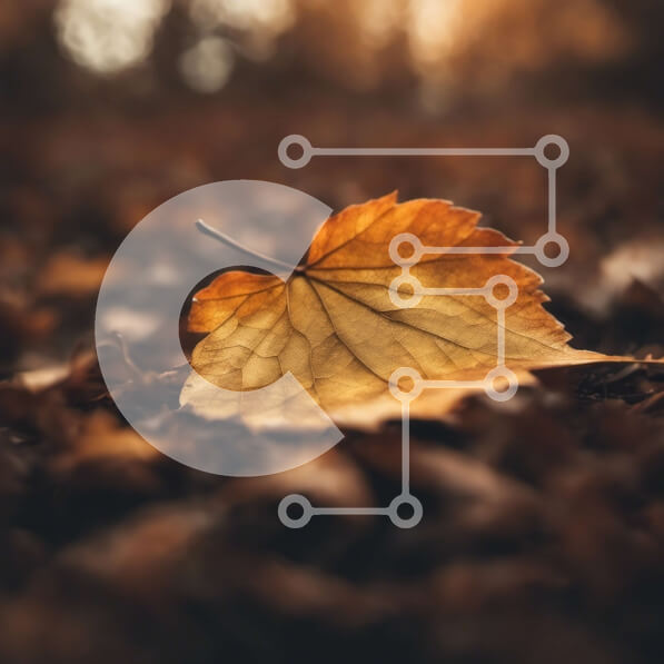 Intra Συλλεκτικό Ξύλινο Παζλ Plywood  4mm - Μαραμένο κίτρινο φύλλο στο δάσος Σε Ξύλινο Κουτί - Διαστάσεις: 10x10 cm – 25 κομμάτια