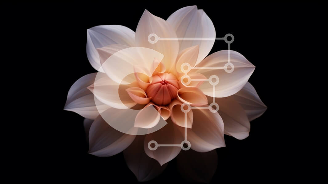 Intra Συλλεκτικό Ξύλινο Παζλ Plywood  4mm - Μονό ροδακινί λουλούδι σε μαύρο φόντο Σε Ξύλινο Κουτί - Διαστάσεις: 10x10 cm – 25 κομμάτια