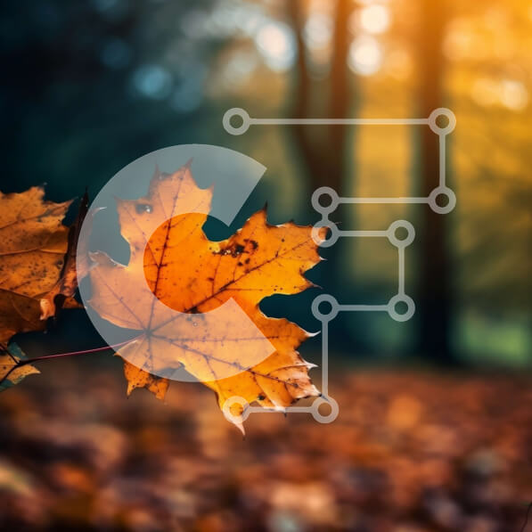 Intra Συλλεκτικό Ξύλινο Παζλ Plywood  4mm - Όμορφη εικόνα του Φθινοπωρινού Φύλλου στη Χρυσή Ώρα Σε Ξύλινο Κουτί - Διαστάσεις: 10x10 cm – 25 κομμάτια