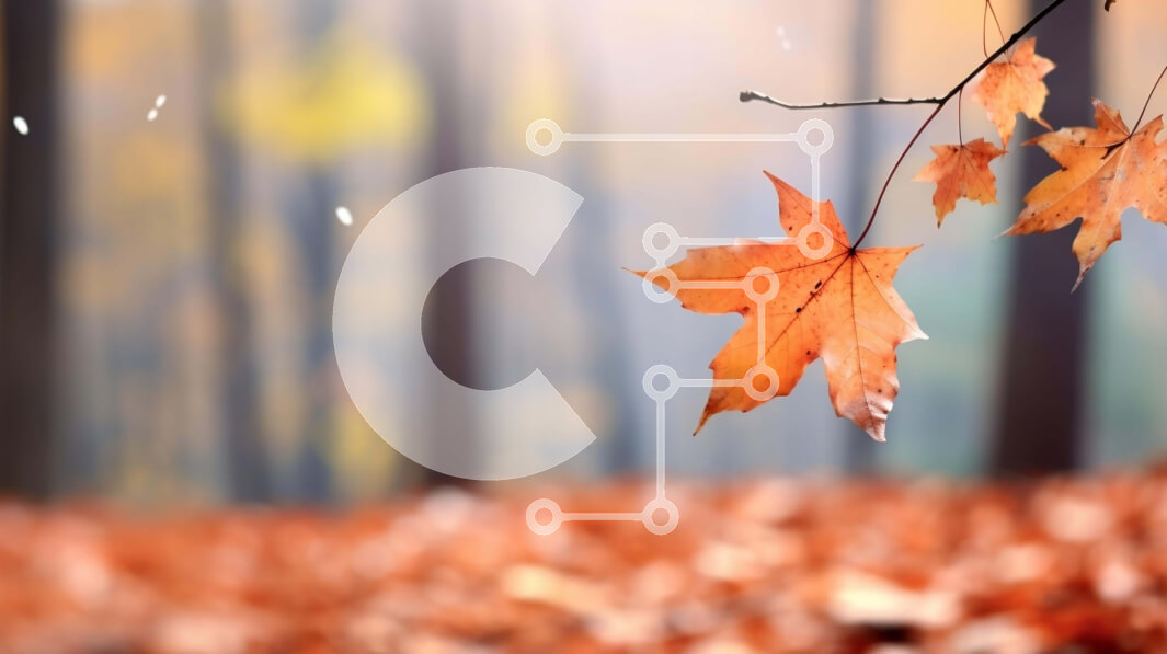 Intra Συλλεκτικό Ξύλινο Παζλ Plywood  4mm - Πορτοκαλί φύλλα που κρέμονται στο δάσος Σε Ξύλινο Κουτί - Διαστάσεις: 10x10 cm – 25 κομμάτια