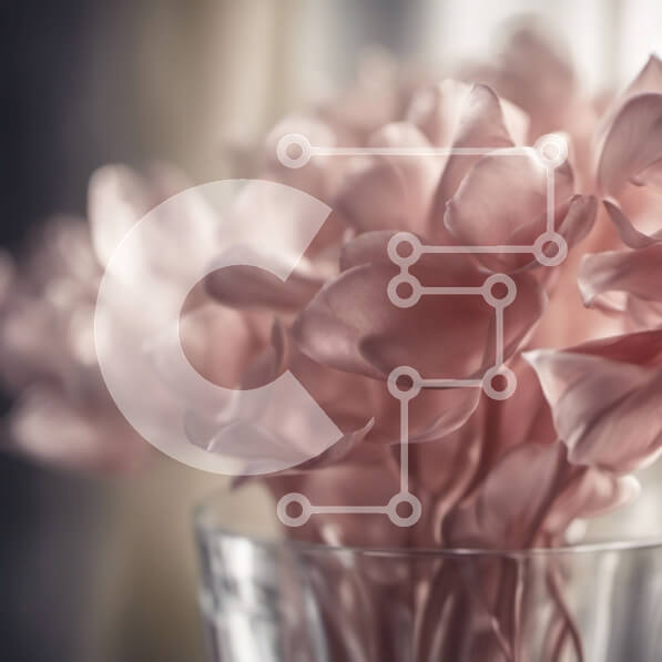 Intra Συλλεκτικό Ξύλινο Παζλ Plywood  4mm - Ροζ λουλούδια σε ένα βάζο δίπλα σε ένα παράθυρο Σε Ξύλινο Κουτί - Διαστάσεις: 10x10 cm – 25 κομμάτια