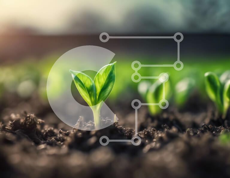 Intra Συλλεκτικό Ξύλινο Παζλ Plywood  4mm - Πράσινα φυτά που βλάστησαν πρόσφατα σε ένα χωράφι Σε Ξύλινο Κουτί - Διαστάσεις: 10x10 cm – 25 κομμάτια