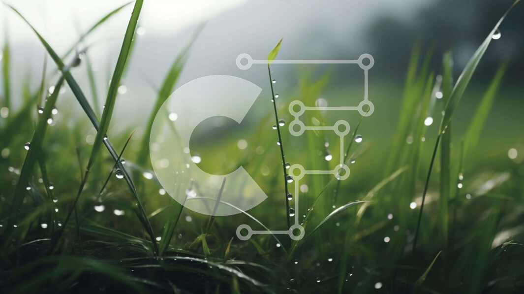 Intra Συλλεκτικό Ξύλινο Παζλ Plywood  4mm - Χλοώδες χωράφι με δροσοσταλίδες Σε Ξύλινο Κουτί - Διαστάσεις: 10x10 cm – 25 κομμάτια