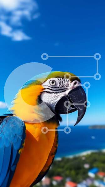 Σετ των 2 Intra Συλλεκτικό Ξύλινο Παζλ Plywood  4mm - Πολύχρωμος παπαγάλος με ωκεάνιο φόντο Σε Ξύλινο Κουτί - Διαστάσεις: 10x10 cm – 25 κομμάτια