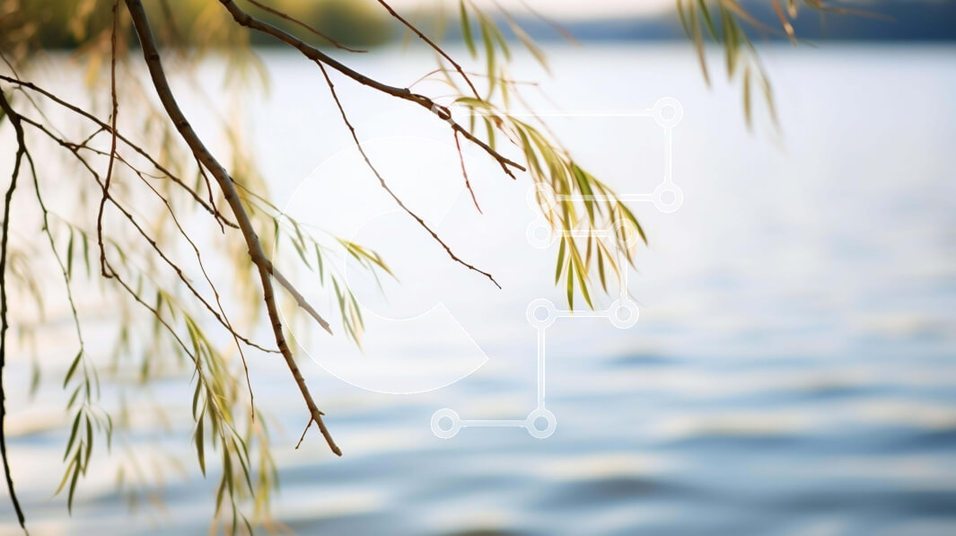 Intra Συλλεκτικό Ξύλινο Παζλ Plywood  4mm - Κλάδος δέντρου ιτιάς που κρέμεται πάνω από το νερό Σε Ξύλινο Κουτί - Διαστάσεις: 10x10 cm – 25 κομμάτια