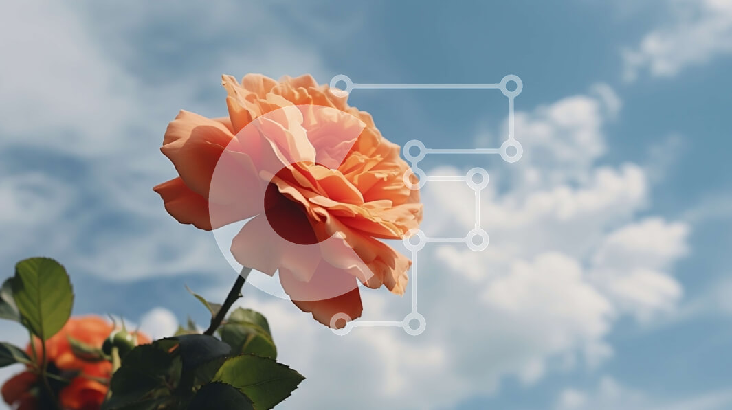 Intra Συλλεκτικό Ξύλινο Παζλ Plywood  4mm - Μονό πορτοκαλί λουλούδι ενάντια στο γαλάζιο του ουρανού και τα σύννεφα Σε Ξύλινο Κουτί - Διαστάσεις: 10x10 cm – 25 κομμάτια