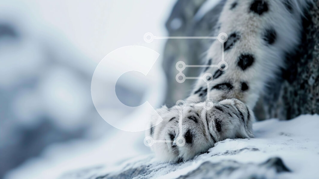 Σετ των 2 Intra Συλλεκτικό Ξύλινο Παζλ Plywood  4mm - Το πόδι της λεοπάρδαλης του χιονιού στηρίζεται σε χιονισμένους βράχους Σε Ξύλινο Κουτί - Διαστάσεις: 10x10 cm – 25 κομμάτια