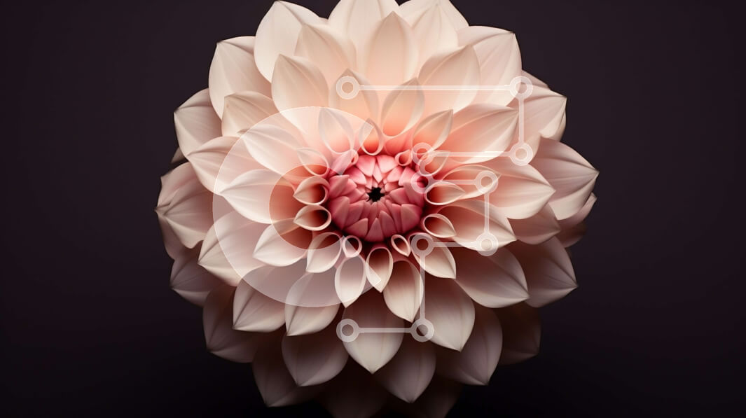 Intra Συλλεκτικό Ξύλινο Παζλ Plywood  4mm - Μεγάλο ροζ λουλούδι σε σκούρο φόντο Σε Ξύλινο Κουτί - Διαστάσεις: 10x10 cm – 25 κομμάτια