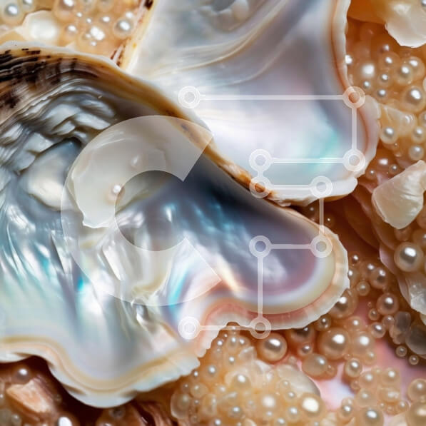 Σετ των 2 Intra Συλλεκτικό Ξύλινο Παζλ Plywood  4mm - Εκπληκτική εικόνα από κοντινό πλάνο του κοχυλιού στρειδιών με ιριδίζοντα μαργαριτάρια Σε Ξύλινο Κουτί - Διαστάσεις: 10x10 cm – 25 κομμάτια