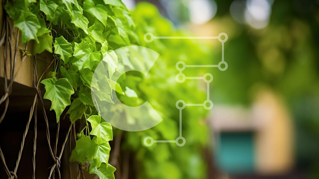 Intra Συλλεκτικό Ξύλινο Παζλ Plywood  4mm - Πράσινα φυτά σε παλιό ξύλινο φράχτη Σε Ξύλινο Κουτί - Διαστάσεις: 10x10 cm – 25 κομμάτια