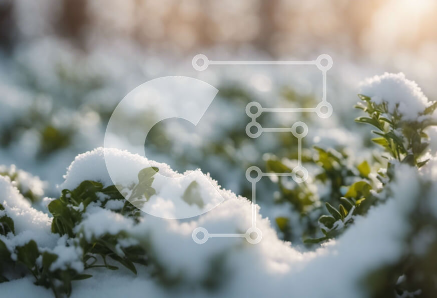 Intra Συλλεκτικό Ξύλινο Παζλ Plywood  4mm - Χιονισμένο χωράφι με πράσινα φυτά και θάμνους Σε Ξύλινο Κουτί - Διαστάσεις: 10x10 cm – 25 κομμάτια