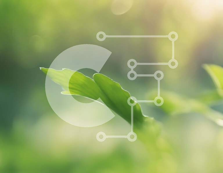 Intra Συλλεκτικό Ξύλινο Παζλ Plywood  4mm - Πράσινο φύλλο στη φύση Σε Ξύλινο Κουτί - Διαστάσεις: 10x10 cm – 25 κομμάτια