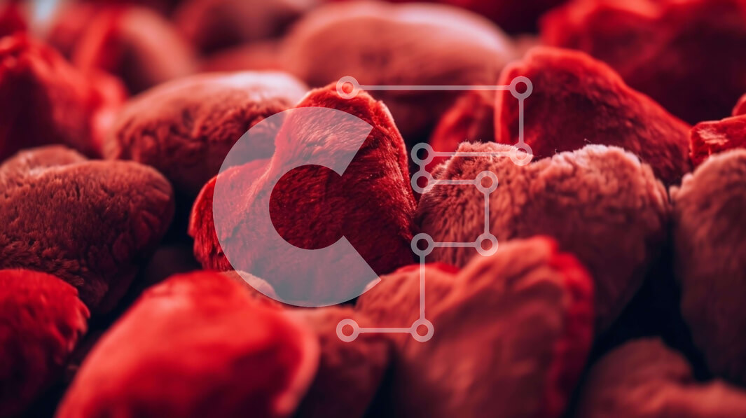 Intra Συλλεκτικό Ξύλινο Παζλ Plywood  4mm - Σωρός από κόκκινα γεμιστά ζώα σε σχήμα καρδιάς Σε Ξύλινο Κουτί - Διαστάσεις Puzzle: 10x10 cm – 25 κομμάτια