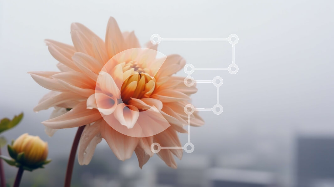 Intra Συλλεκτικό Ξύλινο Παζλ Plywood  4mm - Μονό ροζ λουλούδι σε αστικό τοπίο Σε Ξύλινο Κουτί - Διαστάσεις: 10x10 cm – 25 κομμάτια