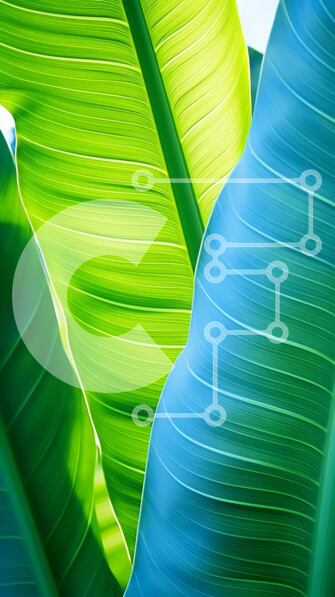 Σετ των 2 Intra Συλλεκτικό Ξύλινο Παζλ Plywood  4mm - Κοντινό πλάνο με πράσινα και μπλε φύλλα μπανάνας Σε Ξύλινο Κουτί - Διαστάσεις: 10x10 cm – 25 κομμάτια