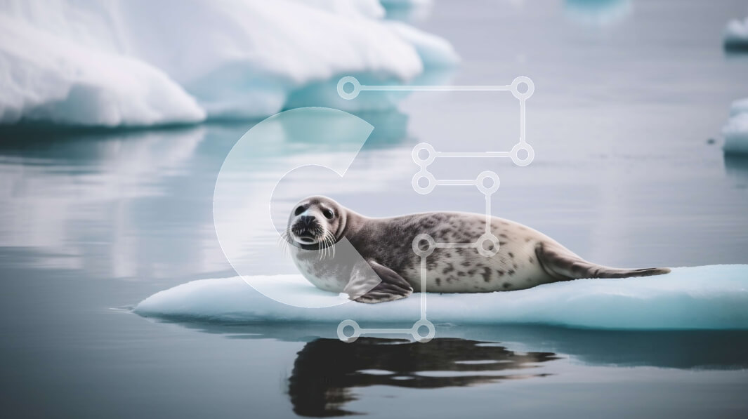 Intra Συλλεκτικό Ξύλινο Παζλ Plywood  4mm - Όμορφη εικόνα μιας φώκιας που στηρίζεται σε πάγο στον Αρκτικό Ωκεανό Σε Ξύλινο Κουτί - Διαστάσεις: 10x10 cm – 25 κομμάτια