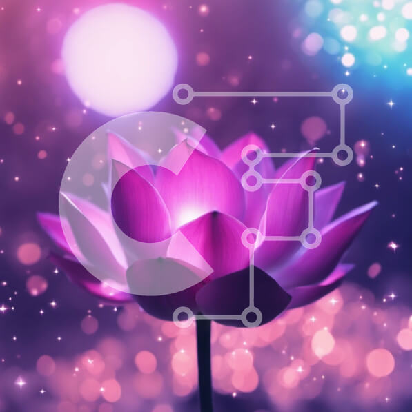 Intra Συλλεκτικό Ξύλινο Παζλ Plywood  4mm - Ροζ λουλούδι λωτού σε αφηρημένο φόντο με πολύχρωμα φώτα Σε Ξύλινο Κουτί - Διαστάσεις Puzzle: 10x10 cm – 25 κομμάτια