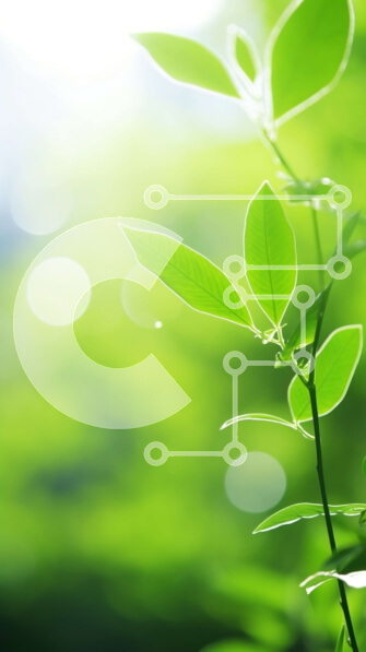 Σετ των 2 Intra Συλλεκτικό Ξύλινο Παζλ Plywood  4mm - Πράσινο φυτό με αντανάκλαση του ηλιακού φωτός Σε Ξύλινο Κουτί - Διαστάσεις: 10x10 cm – 25 κομμάτια