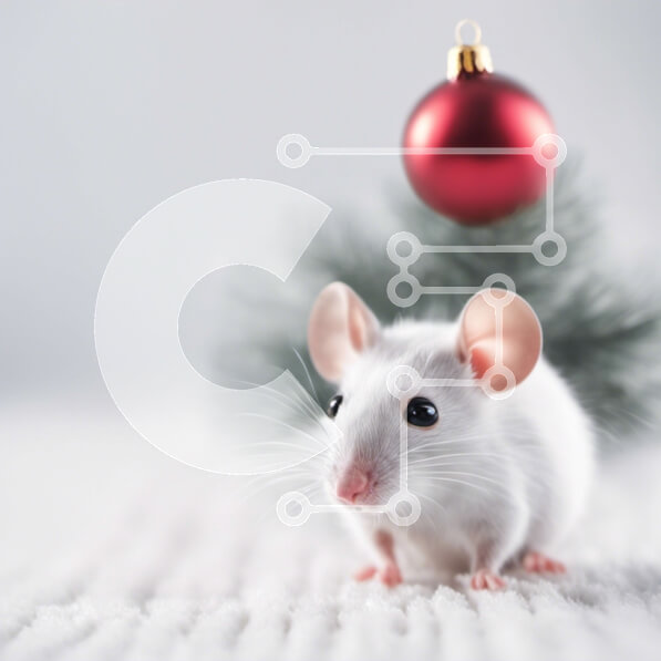 Intra Συλλεκτικό Ξύλινο Παζλ Plywood  4mm - Περίεργο ποντίκι και διακοσμημένο χριστουγεννιάτικο δέντρο Σε Ξύλινο Κουτί - Διαστάσεις: 10x10 cm – 25 κομμάτια