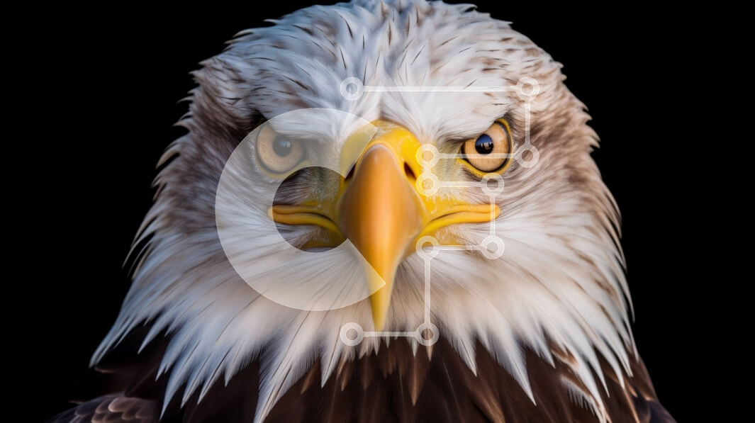 Σετ των 2 Intra Συλλεκτικό Ξύλινο Παζλ Plywood  4mm - Ισχυρή εικόνα ενός φαλακρού αετού που κοιτάζει απευθείας την κάμερα Σε Ξύλινο Κουτί - Διαστάσεις: 10x10 cm – 25 κομμάτια