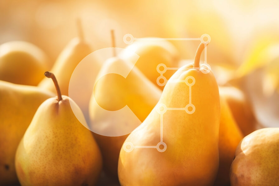 Σετ των 2 Intra Συλλεκτικό Ξύλινο Παζλ Plywood  4mm - Ομάδα ώριμων αχλαδιών σε ξύλινη επιφάνεια Σε Ξύλινο Κουτί - Διαστάσεις: 10x10 cm – 25 κομμάτια