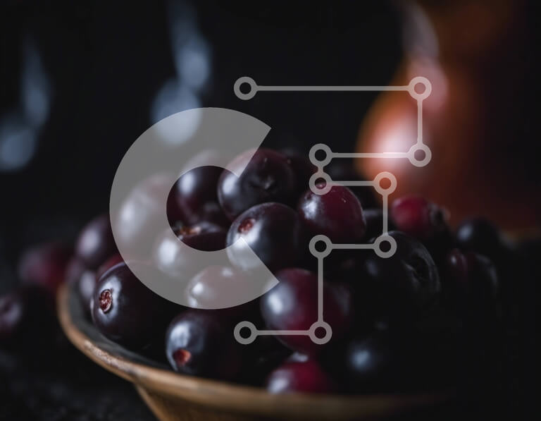 Σετ των 2 Intra Συλλεκτικό Ξύλινο Παζλ Plywood  4mm - Μπολ με σκούρα κόκκινα σταφύλια σε μια σκοτεινή επιφάνεια Σε Ξύλινο Κουτί - Διαστάσεις: 10x10 cm – 25 κομμάτια