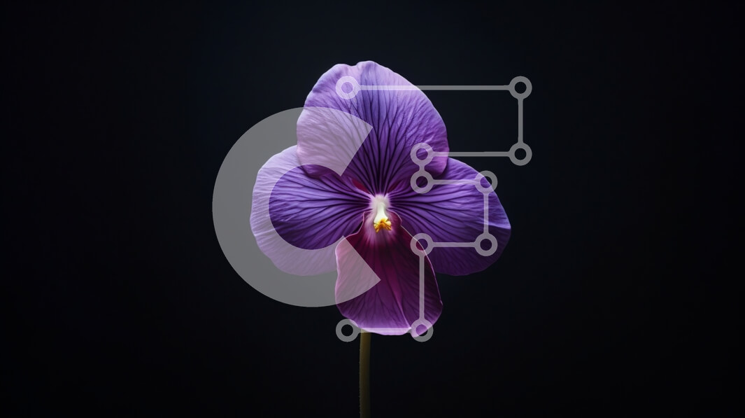 Intra Συλλεκτικό Ξύλινο Παζλ Plywood  4mm - Μονό μωβ λουλούδι σε μαύρο φόντο Σε Ξύλινο Κουτί - Διαστάσεις: 10x10 cm – 25 κομμάτια