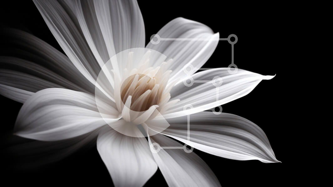 Intra Συλλεκτικό Ξύλινο Παζλ Plywood  4mm - Μονό λευκό λουλούδι σε μαύρο φόντο Σε Ξύλινο Κουτί - Διαστάσεις: 10x10 cm – 25 κομμάτια