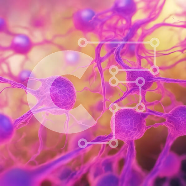 Intra Συλλεκτικό Ξύλινο Παζλ Plywood  4mm - Κοντινή όψη μωβ και ροζ κυττάρων σε ιστό ή όργανο Σε Ξύλινο Κουτί - Διαστάσεις Puzzle: 10x10 cm – 25 κομμάτια