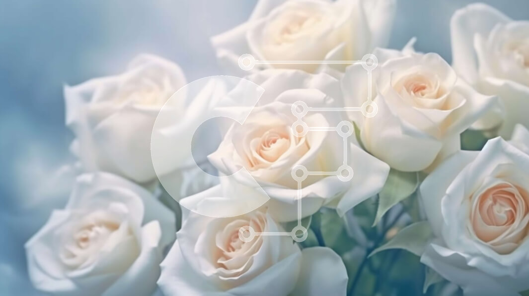 Intra Συλλεκτικό Ξύλινο Παζλ Plywood  4mm - Εκπληκτική εικόνα της ανθοδέσμης με λευκά τριαντάφυλλα σε γαλάζιο φόντο Σε Ξύλινο Κουτί - Διαστάσεις Puzzle: 10x10 cm – 25 κομμάτια