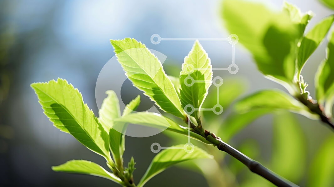 Intra Συλλεκτικό Ξύλινο Παζλ Plywood  4mm - Κοντινό πλάνο των πράσινων φύλλων σε ένα κλαδί δέντρου Σε Ξύλινο Κουτί - Διαστάσεις: 10x10 cm – 25 κομμάτια