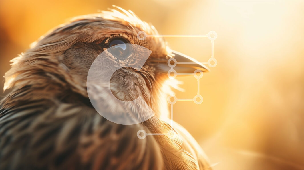 Σετ των 2 Intra Συλλεκτικό Ξύλινο Παζλ Plywood  4mm - Καφέ πουλί που κοιτάζει μακριά Σε Ξύλινο Κουτί - Διαστάσεις: 10x10 cm – 25 κομμάτια