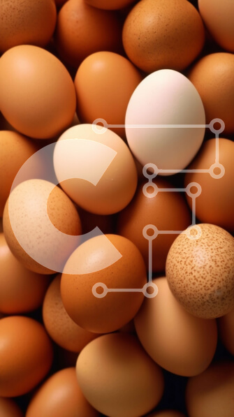 Intra Συλλεκτικό Ξύλινο Παζλ Plywood  4mm - Σωρός από αυγά - καφέ και λευκό Σε Ξύλινο Κουτί - Διαστάσεις: 10x10 cm – 25 κομμάτια