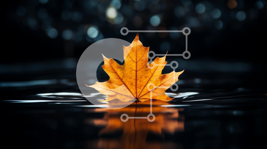 Intra Συλλεκτικό Ξύλινο Παζλ Plywood  4mm - Όμορφο κίτρινο φύλλο που επιπλέει στο νερό Σε Ξύλινο Κουτί - Διαστάσεις: 10x10 cm – 25 κομμάτια