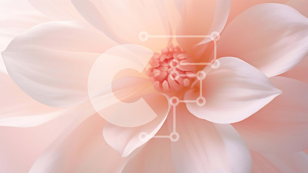 Intra Συλλεκτικό Ξύλινο Παζλ Plywood  4mm - Κοντινό πλάνο ενός ελκυστικού ροζ λουλουδιού σε λευκό φόντο Σε Ξύλινο Κουτί - Διαστάσεις: 10x10 cm – 25 κομμάτια