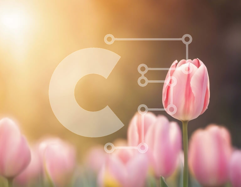 Intra Συλλεκτικό Ξύλινο Παζλ Plywood  4mm - Πεδίο με ροζ τουλίπες με ήλιο που λάμπει Σε Ξύλινο Κουτί - Διαστάσεις: 10x10 cm – 25 κομμάτια