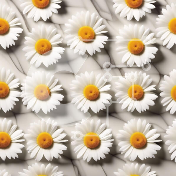 Intra Συλλεκτικό Ξύλινο Παζλ Plywood  4mm - Όμορφη κοντινή πλάνο λευκών μαργαριτών με κίτρινα κέντρα σε μαύρο φόντο Σε Ξύλινο Κουτί - Διαστάσεις: 10x10 cm – 25 κομμάτια