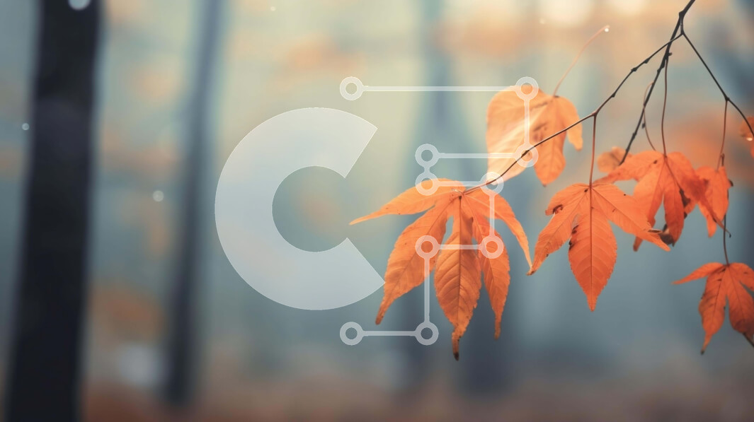 Intra Συλλεκτικό Ξύλινο Παζλ Plywood  4mm - Φθινοπωρινό κλαδί δέντρου με πορτοκαλί φύλλα στο ομιχλώδες δάσος Σε Ξύλινο Κουτί - Διαστάσεις: 10x10 cm – 25 κομμάτια