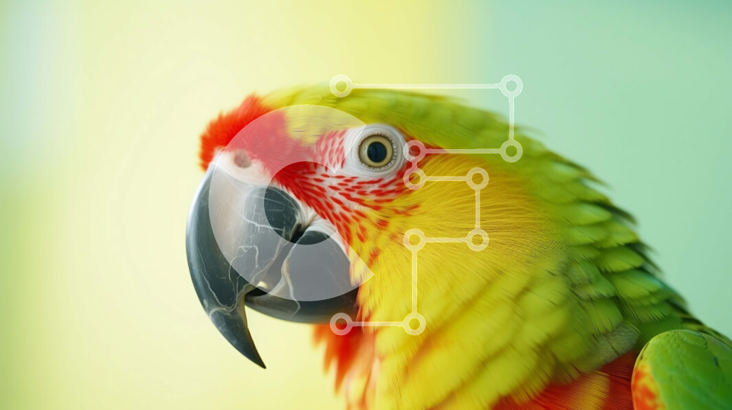 Σετ των 2 Intra Συλλεκτικό Ξύλινο Παζλ Plywood  4mm - Πολύχρωμος παπαγάλος ενάντια σε πορτοκαλί και κίτρινο φόντο Σε Ξύλινο Κουτί - Διαστάσεις: 10x10 cm – 25 κομμάτια